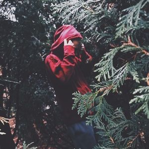 Meet your Posher, Dom